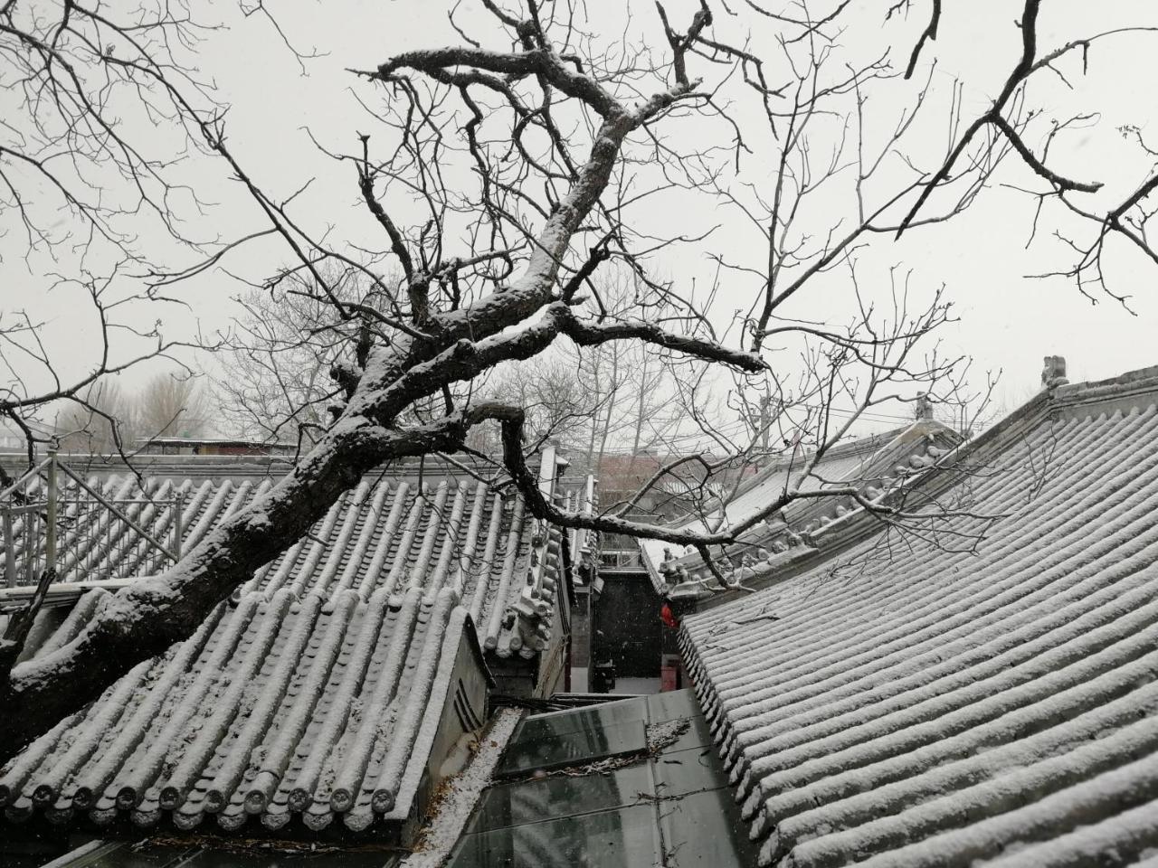 Beijing Fly By Knight Courtyard Otel Dış mekan fotoğraf